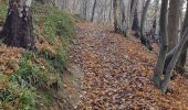 Trail Walking Blegny - Mortier - Photo 9