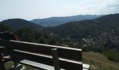 Randonnée Marche Sentheim - Sentheim - Col du Schirm - Buissonniers - Kohlberg - Photo 20