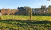 Tocht Stappen Gijvelde - dune cabourg et fossile  - Photo 1