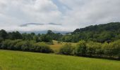 Tour Radtourismus  Saint-Pé-de-Bigorre - St-Pé-de-Bigorre - Oloron - Photo 10