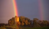 Randonnée A pied Wangen im Allgäu - Wanderweg 10 Wangen im Allgäu - Photo 3