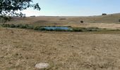 Excursión Senderismo Saint-Chély-d'Aubrac - Rando en boucle entre Aubrac et Nasbinals - Photo 2