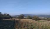Trail Walking Ougney - Ougney - Photo 10