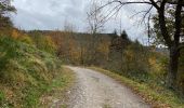 Tour Wandern Simmerath - Einruhr 25 km - Photo 2