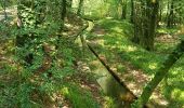 Tour Wandern Saint-Rivoal - GR_37_FA_12_St-Rivoal_Loperec_20200811 - Photo 2