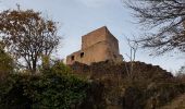 Excursión Senderismo Eguisheim - Randonnée 5 châteaux - Eguisheim - château d'Hagueneck - château de Hohlandsbourg - trois châteaux d'Husseren - Photo 14