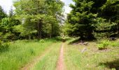 Tour Wandern Allanche - Allanche - Maillargues Puy de Mathonière - 12.8km 320m 4h00 - 2019 06 25 - Photo 4