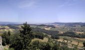 Tour Zu Fuß Zuzgen - Zuzgen Postauto - Schlegel - Photo 1