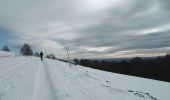 Tour Schneeschuhwandern Lepuix - Wissgrut - Photo 1