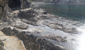 Randonnée Marche Cerbère - les aloès. cerbère . coll dells belitres (espagne) . cap cerbère . cerbère. les aloès   - Photo 2