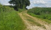 Tocht Stappen Fontaine-les-Coteaux - Fontaine-les-coteaux - Bois de Beauvoir - Photo 8