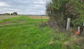 Tour Wandern Bueil-en-Touraine - Bueil-en-Touraine - Autour de la vallée du Long - Photo 14