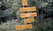 Trail Walking Sarcenas - Col de Porte_La Pinea_Oratoire d'Orgeval - Photo 4