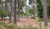 Tocht Stappen Fontainebleau - Forêt de Fontainebleau  - Photo 1