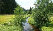 Trail On foot Lesná - [Z] naučná stezka historie sklářství - Photo 6