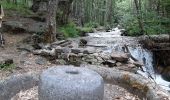 Tocht Stappen Huez - la Sarenne - Photo 9