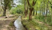 Trail Walking Sare - Palombieres lizerieta variante  - Photo 2