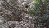 Excursión Senderismo Tolón - grotte Chelot et Croupatier - Photo 1