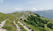 Trail Walking Omblèze - Le Plateau d'Ambel du Col de la Bataille - Photo 10