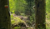 Trail Walking Eupen - Ternell -Eupen - Photo 19