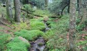 Excursión Senderismo Wildenstein - Trek alsacien (boucle de Wildenstein) - Photo 8