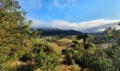 Tocht Stappen La Plaine-des-Palmistes - Tour du Piton des songes - Photo 4