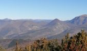 Tour Wandern Roche-Saint-Secret-Béconne - le rocher des Aures  - Photo 4