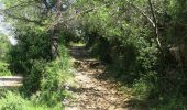 Trail On foot Portovenere - Isola Palmaria (giro dell'isola) - Photo 6