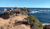 Percorso Marcia Ramatuelle - cap Camarat-golfe St Tropez-03-12-21 - Photo 8