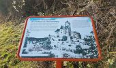 Percorso Marcia Saint-Hippolyte - St Hippolyte - Bergheim - château Reichenberg - Photo 4