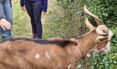 Tour Wandern Flassans-sur-Issole - Flassans sur issole - lac de redon - Photo 14