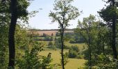 Tocht Stappen Viroinval - Mazée, sur le sentier des Douaniers - Photo 3