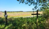 Trail Walking Trois-Ponts - logbierme 060824 - Photo 14
