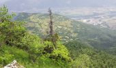 Randonnée Marche Autrans-Méaudre en Vercors - La grande Breche - Photo 13