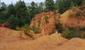 Tocht Stappen Roussillon - ocres du Lubéron 2020 - Photo 10