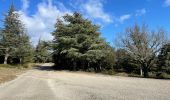 Randonnée Marche Bonnieux - PF-Bonnieux - Massif des Cèdres - Roque des Bancs - Les Portalas - AT - Photo 16