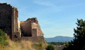 Tocht Stappen Flassans-sur-Issole - SityTrail - Flassans Chau de Pontéves - Photo 9