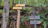 Tour Wandern Bédeilhac-et-Aynat - au pied du Calames - Photo 8