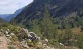 Tour Wandern Vivario - bergerie de tolla  - Photo 13