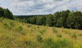 Trail Walking Herbeumont - Mon lit dans l'arbre - Castors - Photo 5