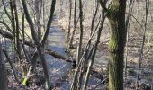 Excursión Senderismo Érezée - tire la gueule val de Aisne  - Photo 2