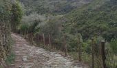 Trail Walking Riomaggiore - Riomaggiore to Vernazza  - Photo 11