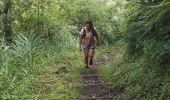 Trail Walking Salazie - Piton d'Anchain - Photo 11
