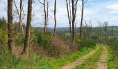 Trail Walking Beauraing - Balade à Wancennes - Beauraing - Photo 5