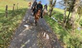 Tour Reiten Baccarat - Baccarat chez Alex Yoigo  - Photo 2