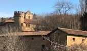 Tocht Stappen Val d'Oingt - Oingt en Beaujolais (13 km - D. 405 m) - Photo 1