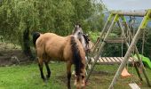 Trail Horseback riding Fouday - Fouday auberge du promont Tivio joyeux  - Photo 3