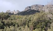 Tour Wandern Plan-d'Aups-Sainte-Baume - Tour Cauvin, dents de Roque forcade ,Grande baume - Photo 9