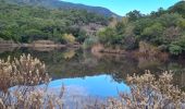 Trail Walking Bormes-les-Mimosas - Chartreuse de la Verne - Photo 1