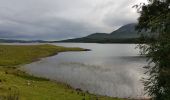 Tocht Auto Conamara Municipal District - 190706Connemara - Photo 3